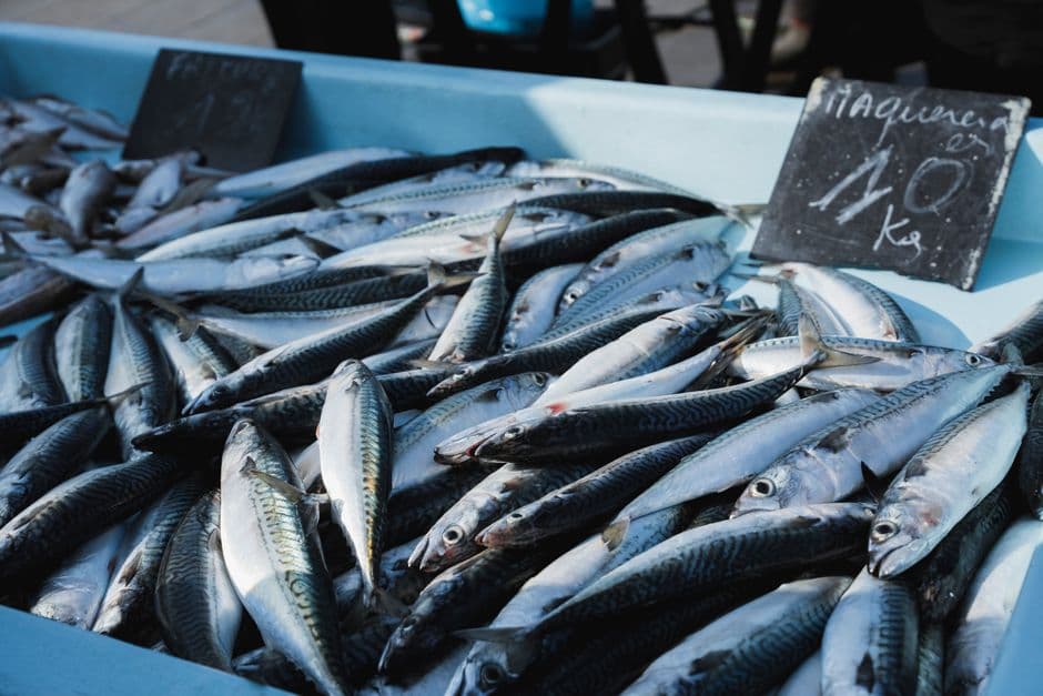 Feria: Arrain Azoka de Bermeo, Bermeo