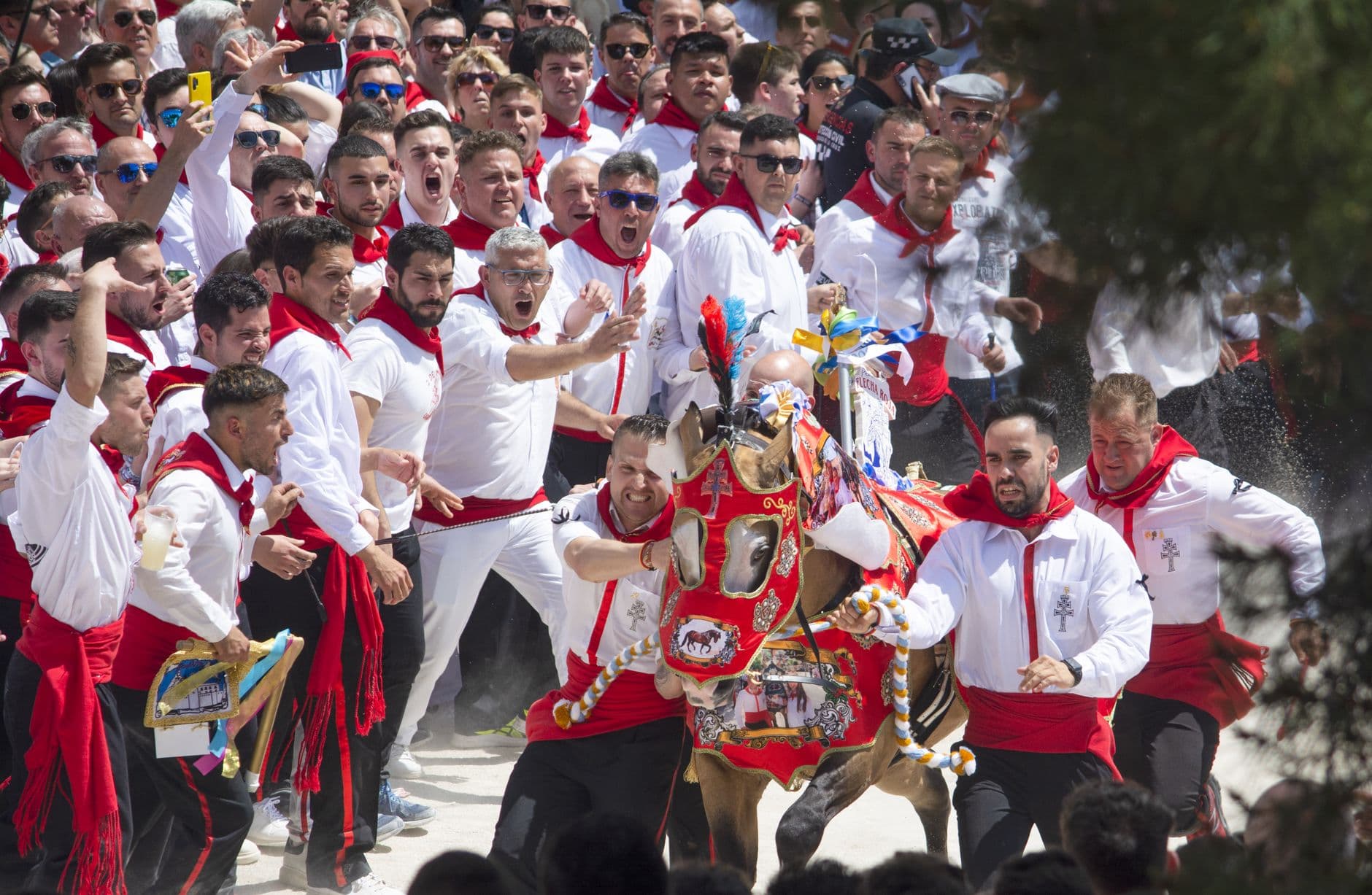 Fiesta: Caballos del Vino de Caravaca de la Cruz 2026