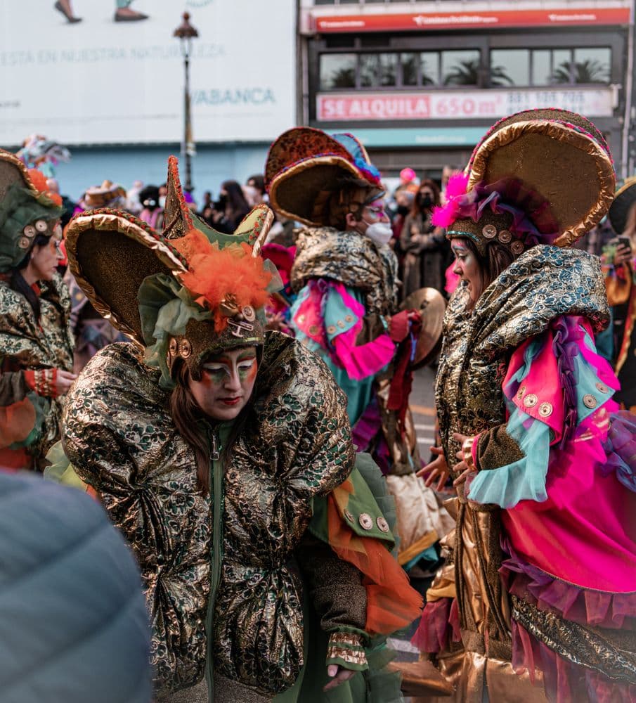 Fiesta patronal: Carnaval de Alicante, Alicante