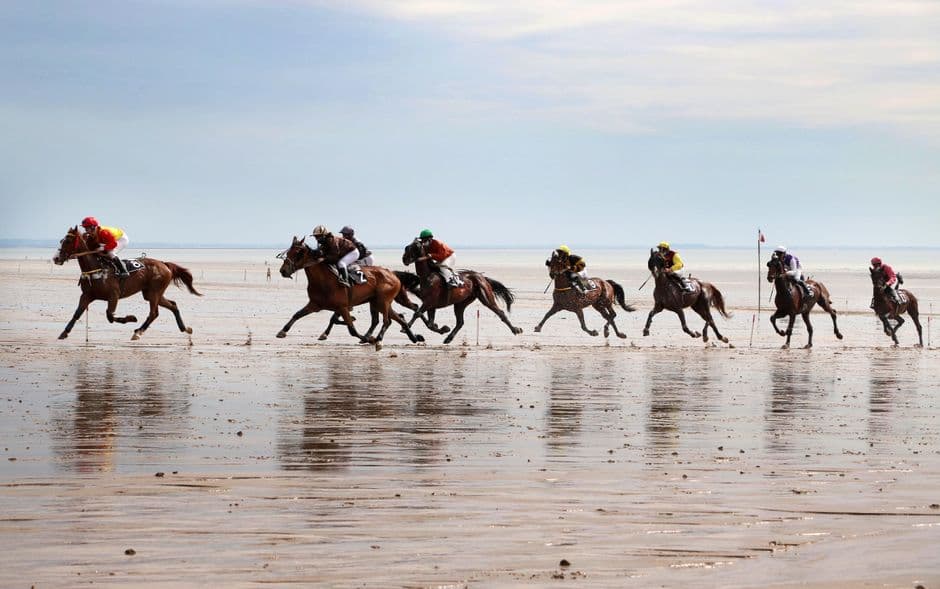 Evento: Carreras de Caballos de Sanlúcar de Barrameda, Sanlúcar de Barrameda