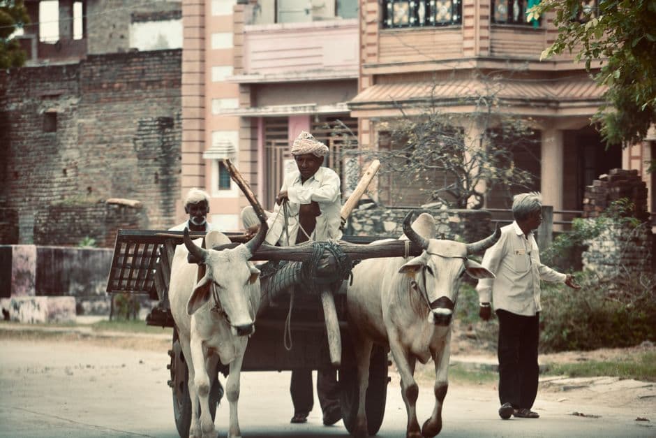 Fiesta: Día de Campoo de Reinosa, Reinosa