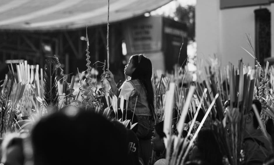 Fiesta patronal: Domingo de Ramos de Elche, Elche