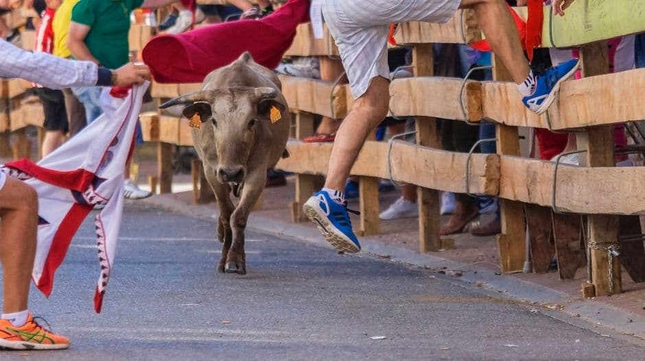 Fiesta patronal: El Torico de la Cuerda de Chiva, Chiva