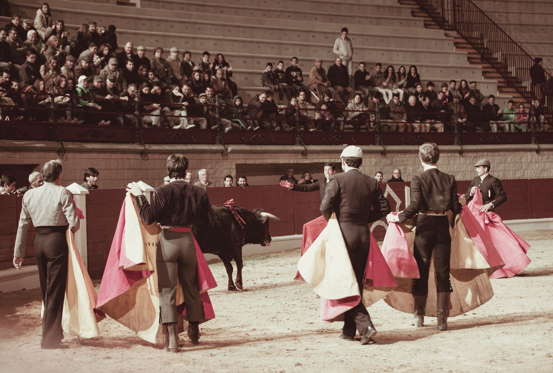 Feria: Feria de Burgos (Feria Taurina y Ferial de los Sampedros) 2026