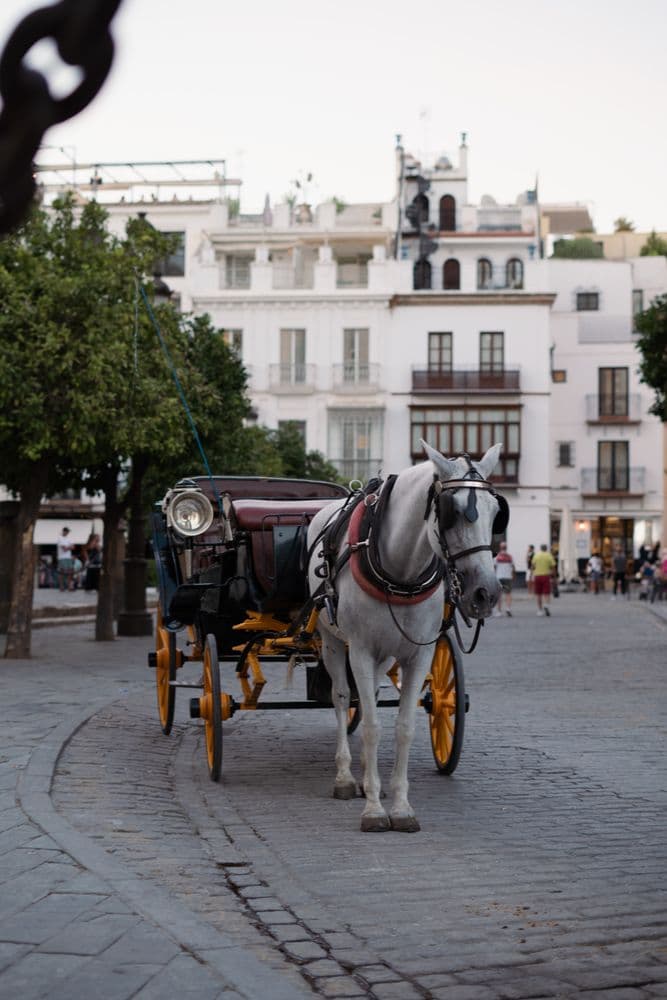 Feria: Feria de Primavera y Fiesta del Vino Fino, El Puerto de Santa María