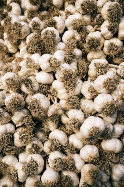 Feria: Feria Internacional del Ajo, Las Pedroñeras