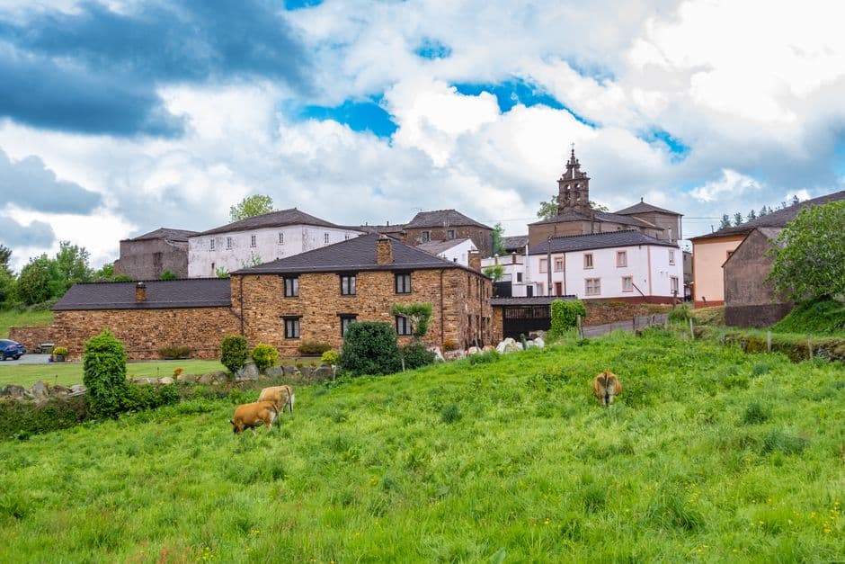 Fiesta: Festa da Becerra e o Turista de Becerreá, Becerreá