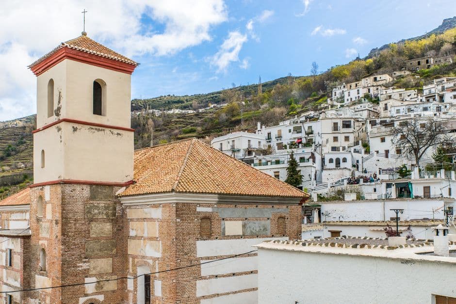 Fiesta patronal: Festa de la Mare de Déu de Maria de la Salut, Maria de la Salut