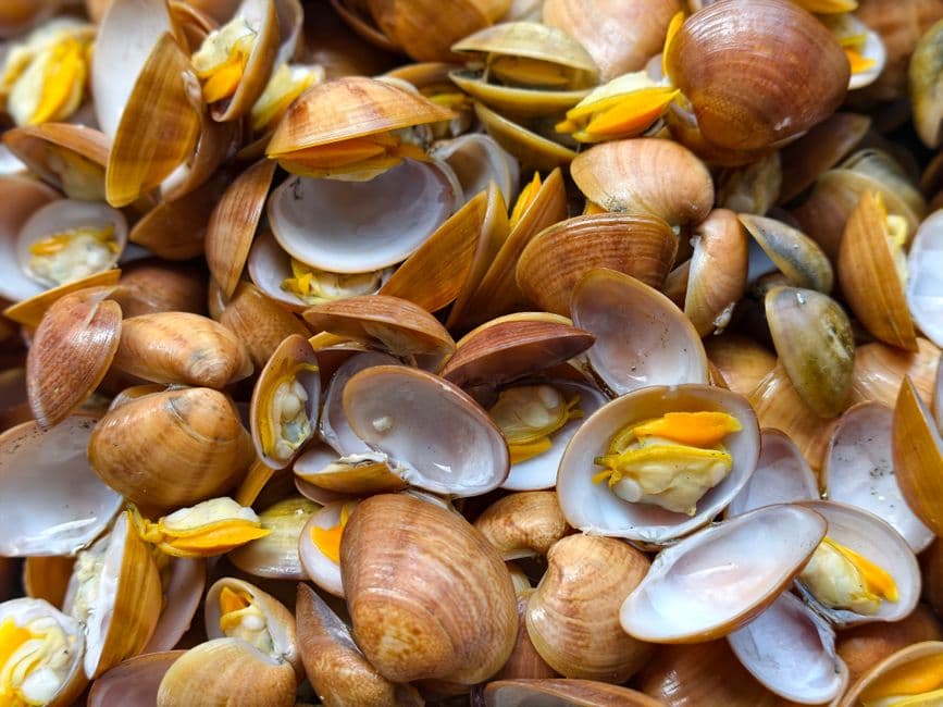 Feria: Festa Gastronómica da Ameixa Roxa, A Illa de Arousa