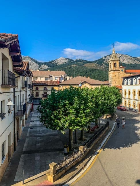 Fiesta patronal: Festes de Jesús, Jesús