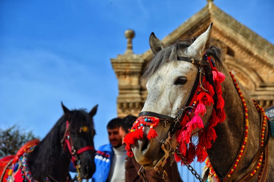 Fiesta patronal: Festes de Sant Bartomeu de Ses Salines, Ses Salines