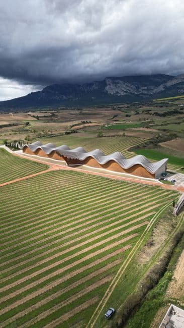 Feria: Fiesta de la Vendimia de Rioja Alavesa en Kripan, Kripan
