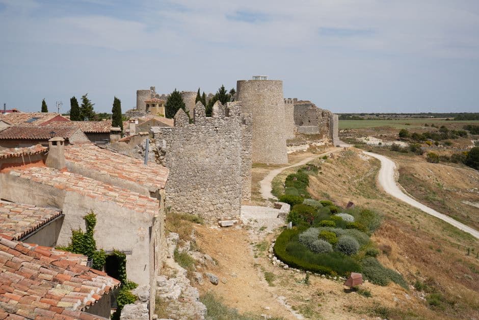 Fiesta patronal: Fiestas de la Asunción y San Roque de Alcañices, Alcañices