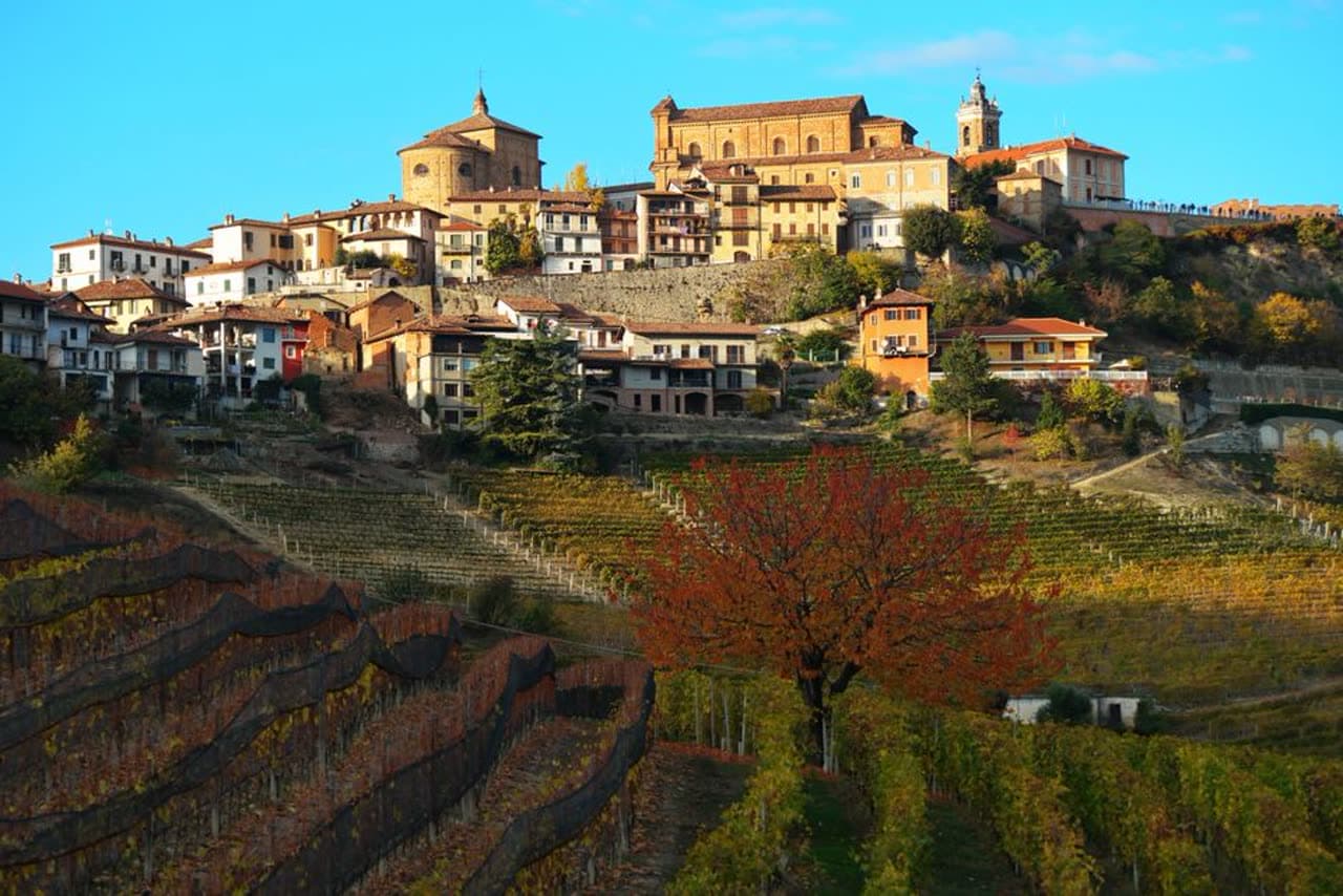 Fiesta: Fiestas de las Reliquias de Labastida, Labastida