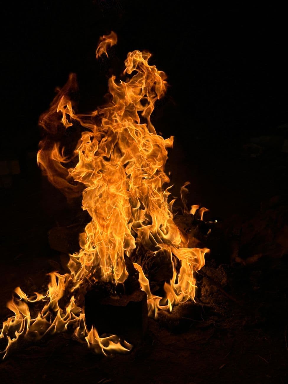 Fiesta patronal: Fiestas de San Andrés de Ayora, Ayora