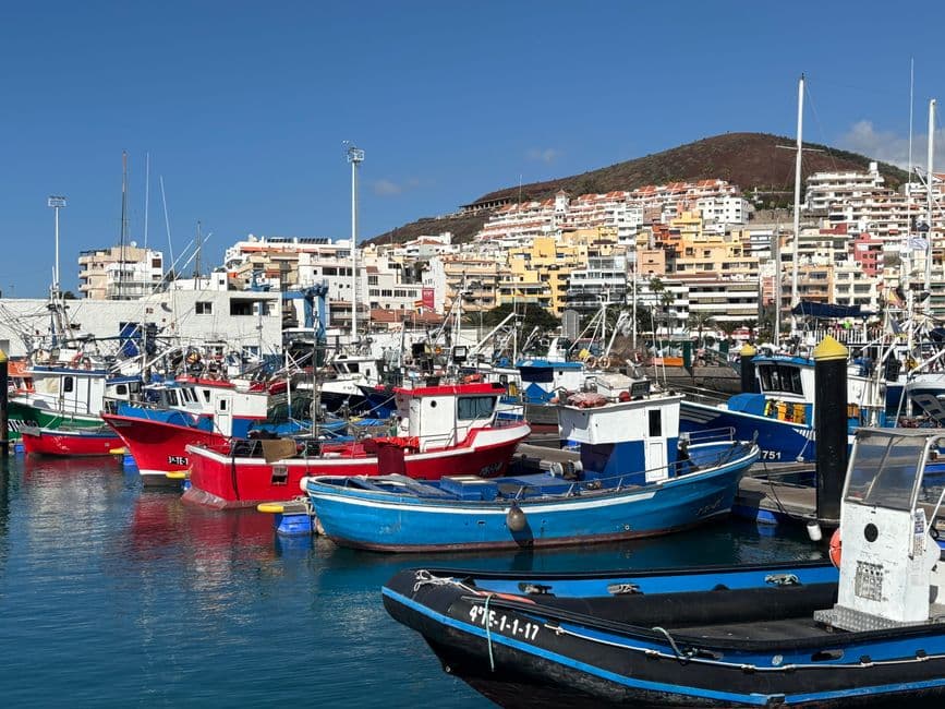 Fiesta patronal: Festividad de San Pedro Apóstol de Güímar, Güímar
