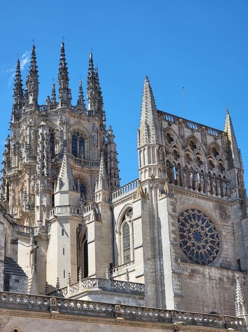 Fiesta patronal: Fiestas de San Pedro y San Pablo de Burgos (Sampedros), Burgos