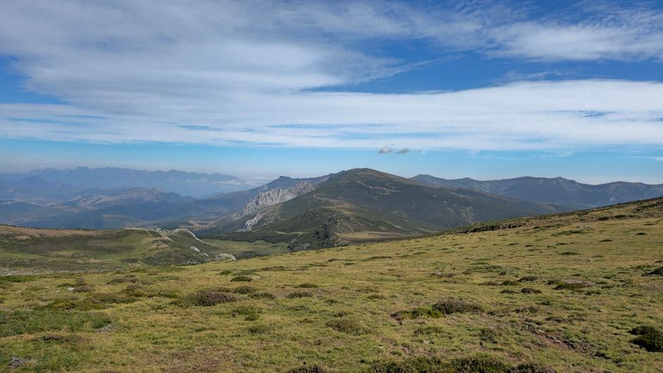 Fiesta patronal: Fiestas de San Roque de Boñar, Boñar