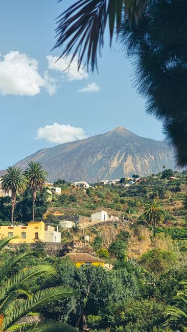 Fiesta patronal: Fiestas de San Roque y San Agustín de Vilaflor, Vilaflor