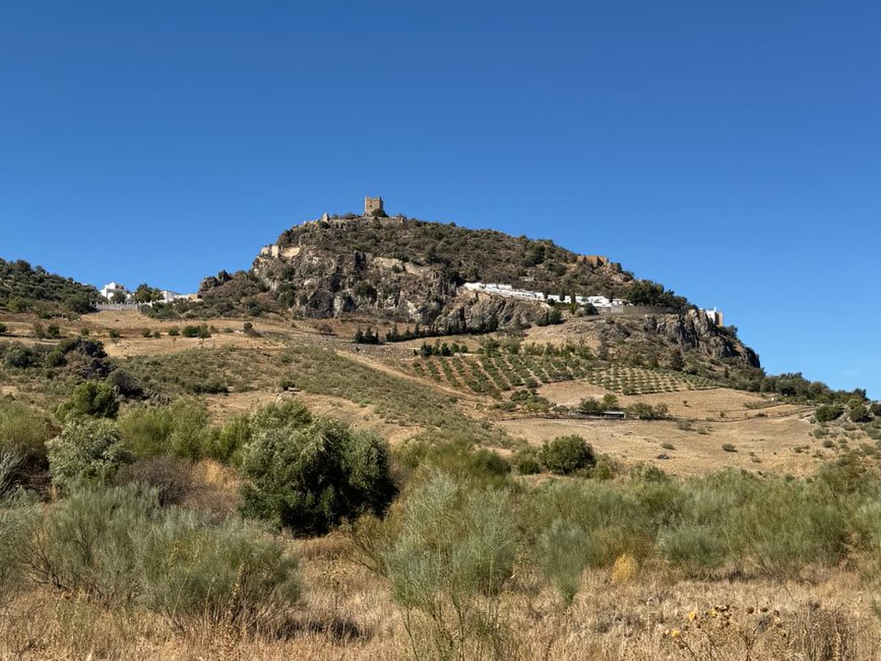 Fiesta patronal: Fiestas de Santa Lucía de Zambrana, Zambrana
