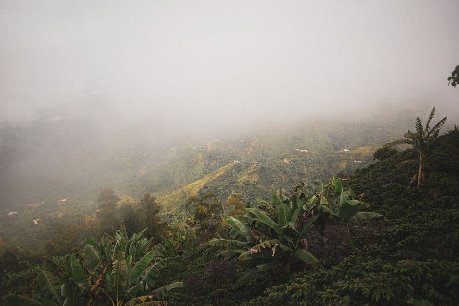 Fiesta patronal: Fiestas de Santo Domingo de Guzmán de Hermigua, Hermigua