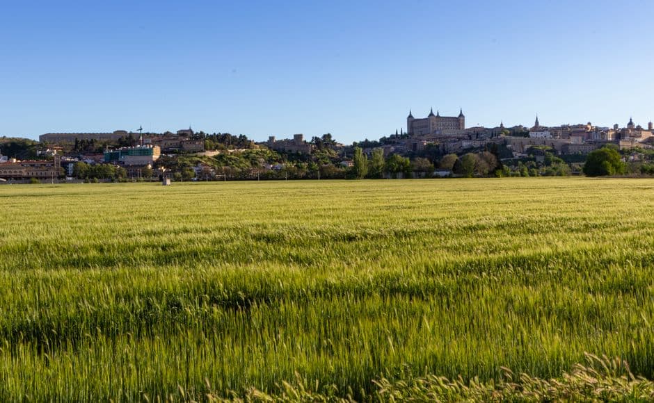 Fiesta patronal: Fiestas de Septiembre de Elche de la Sierra, Elche de la Sierra