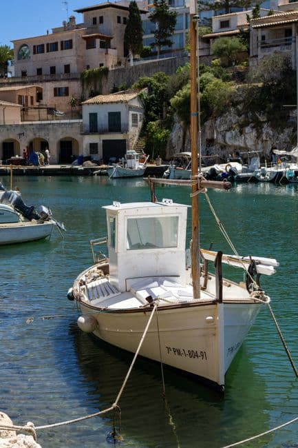 Fiesta: Fiestas del Carmen de Trintxerpe, Pasaia