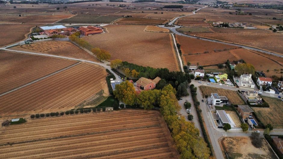 Fiesta patronal: Fiestas de los Quintos y San Blas en Aguarón, Aguarón