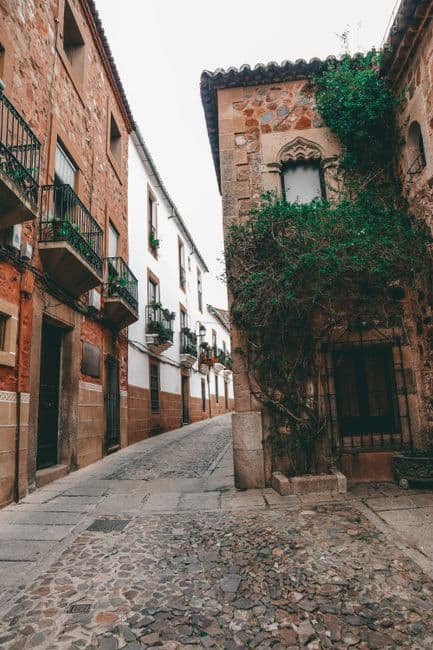 Fiesta patronal: Fiestas de San Bartolomé y la Virgen de Monte Santo en Villarluengo, Villarluengo