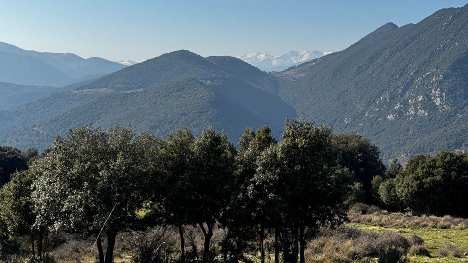 Fiesta patronal: Fiestas de San Victorián y Santa Águeda en Berbegal, Berbegal