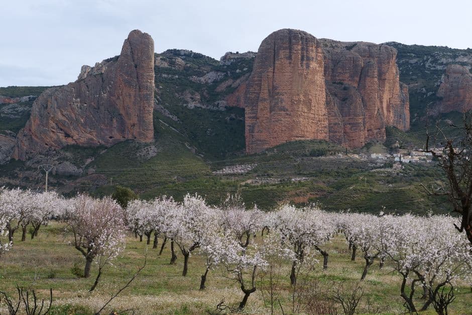 Fiesta patronal: Fiestas de Santa Ana en Cuarte de Huerva, Cuarte de Huerva