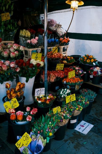 Feria: Fira de la Flor de Costitx, Costitx