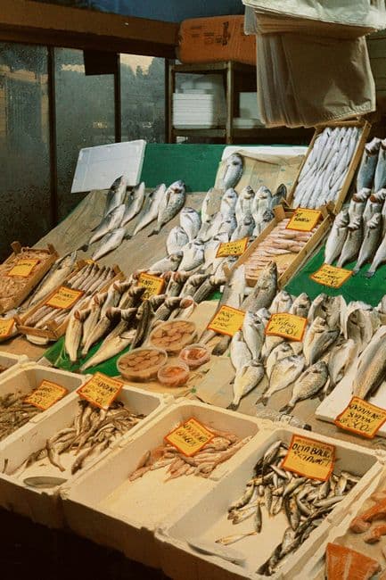 Feria: Fira del Peix i del Marisc d'Eivissa, Sant Antoni de Portmany