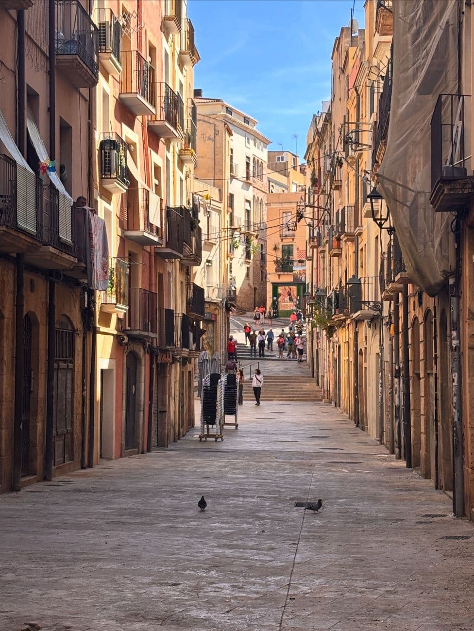Feria: Fira del Vimblanc de Vinebre, Vinebre