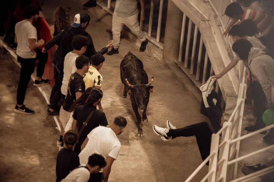 Fiesta: La Colá y los Encierros de Cuéllar, Cuéllar