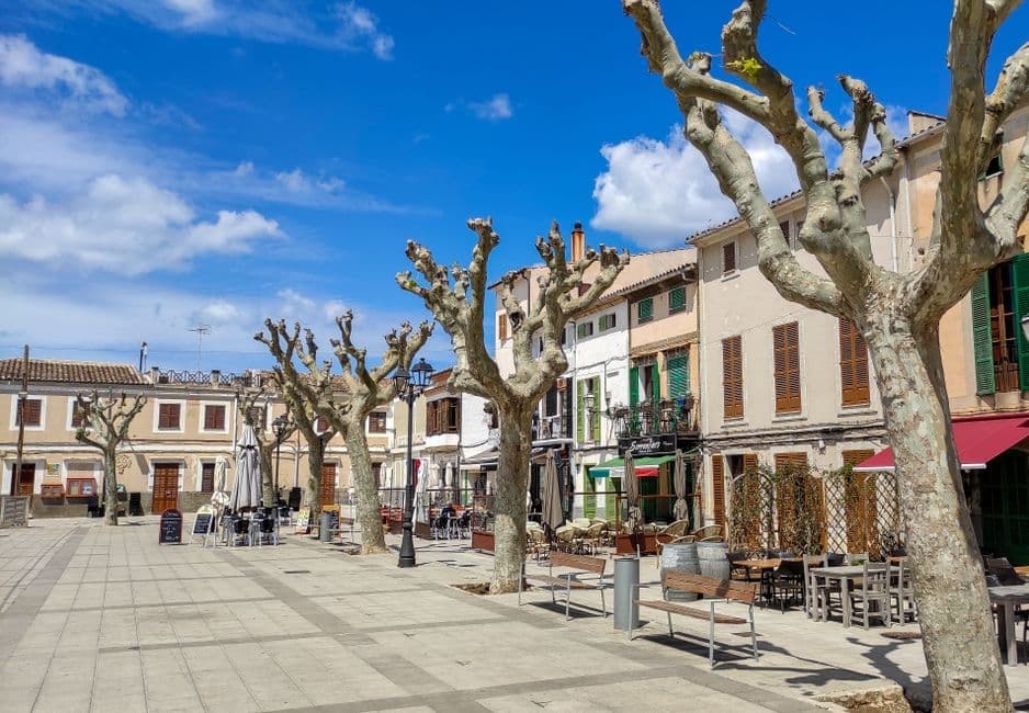 Fiesta patronal: La Patrona de Pollença, Pollença