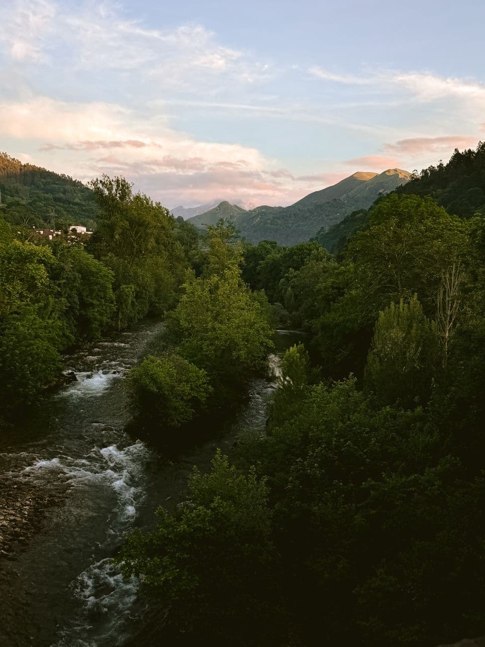 Mercadillo: Muestra de Raza Asturiana de la Montaña (Corao), Cangas de Onís