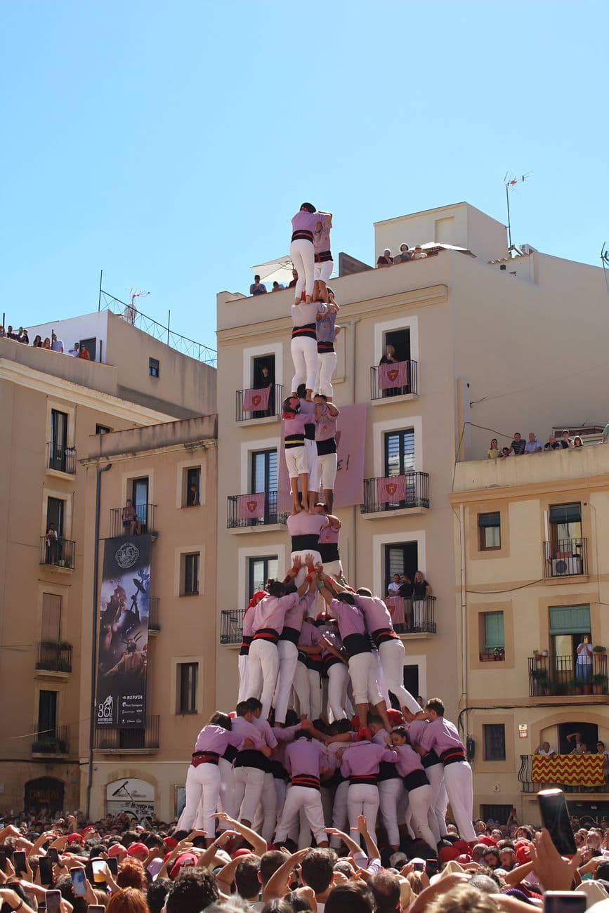 Fiesta patronal: Muixeranga de Algemesí, Algemesí