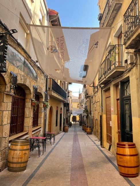 Fiesta patronal: Revolcón del Katxi de Oyón-Oion, Oyón-Oion