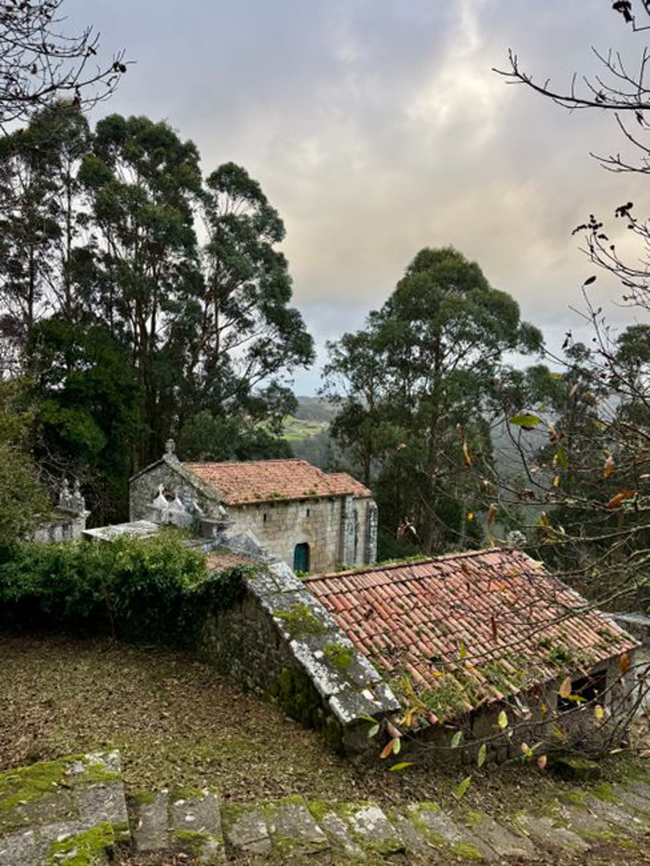 Fiesta patronal: San Mamede de Casasoá, Xunqueira de Ambía