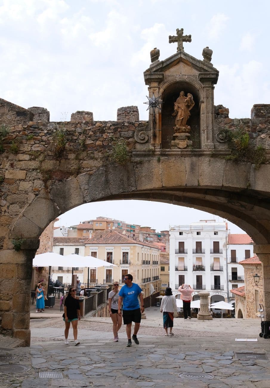Fiesta patronal: San Martiñu de San Martín de Trevejo, San Martín de Trevejo