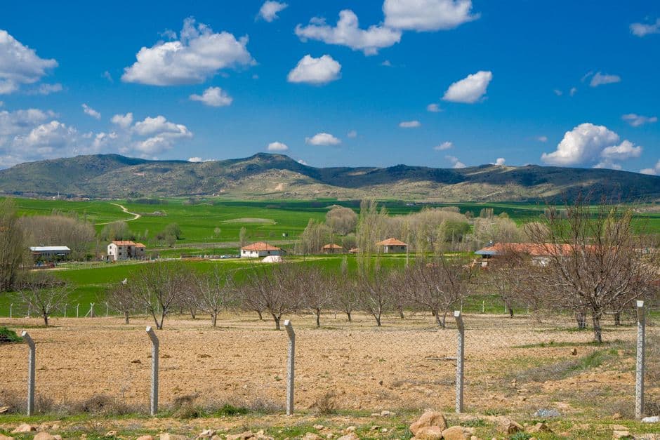 Fiesta patronal: Santa Águeda, Cogolludo