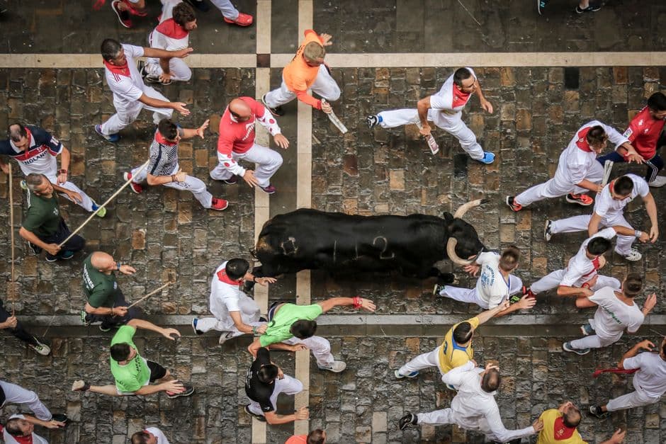Fiesta: Suelta de Vaquillas de El Viso, El Viso