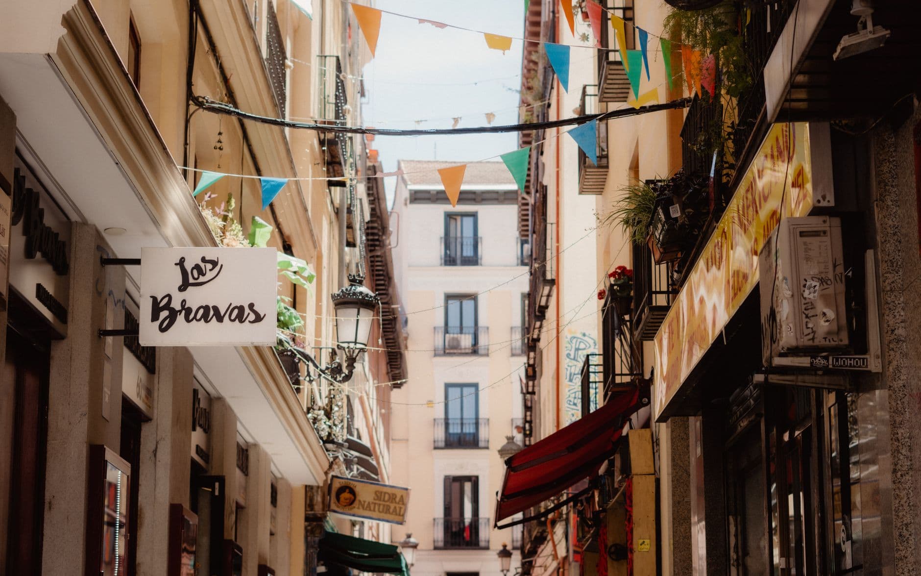 Fiesta: Verbena de la Virgen de la Paloma 2026 en Madrid