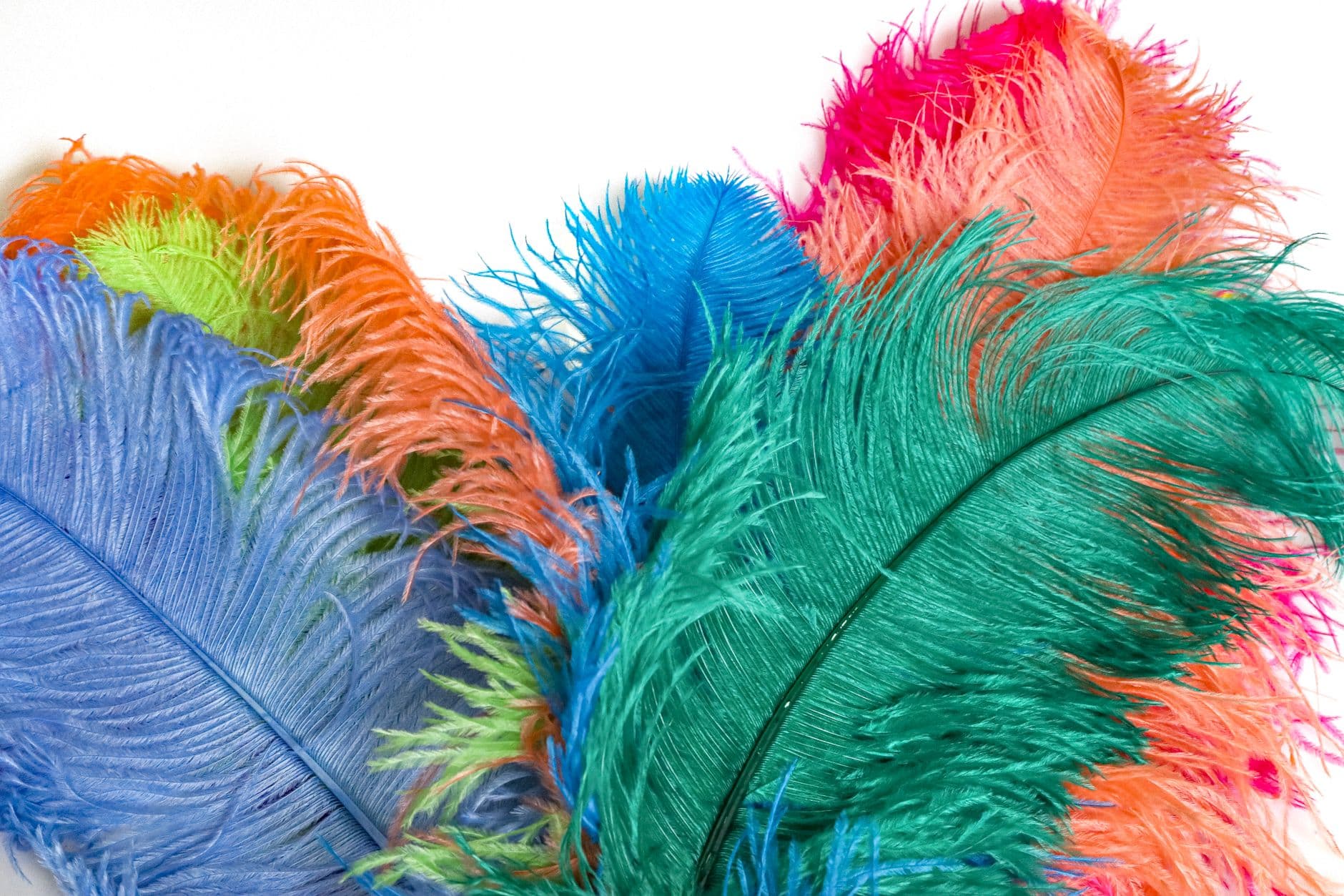 Fiesta patronal: Carnaval de Badajoz 2026