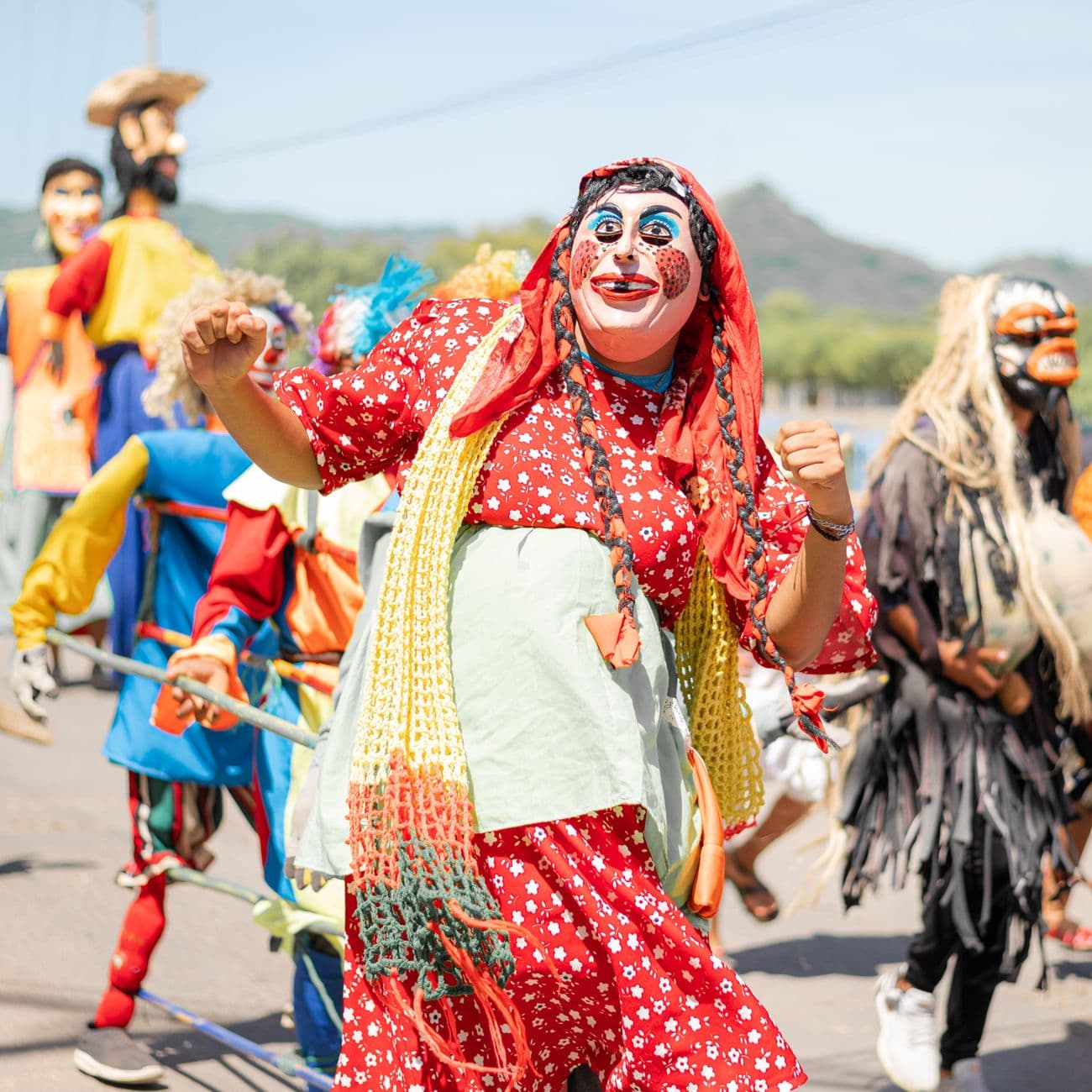 Fiesta patronal: Carnaval de Socuéllamos 2026