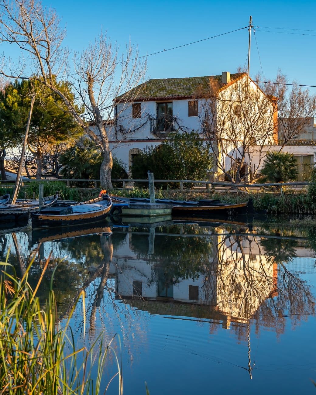 Fiesta: Concurs d'All i Pebre de Sedaví, Sedaví