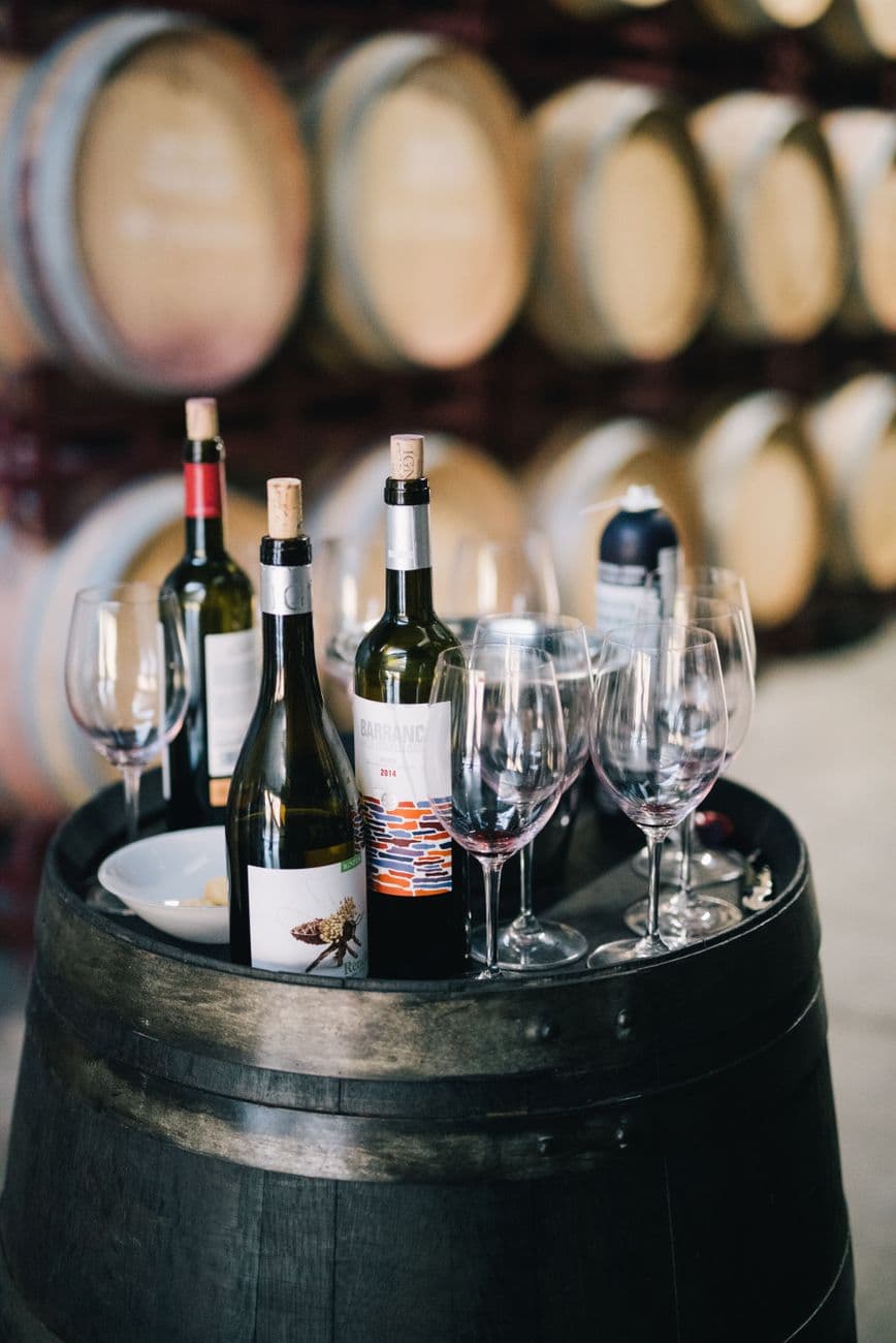 Feria: Feria del Vino y Fiesta de la Vendimia de Cigales 2026