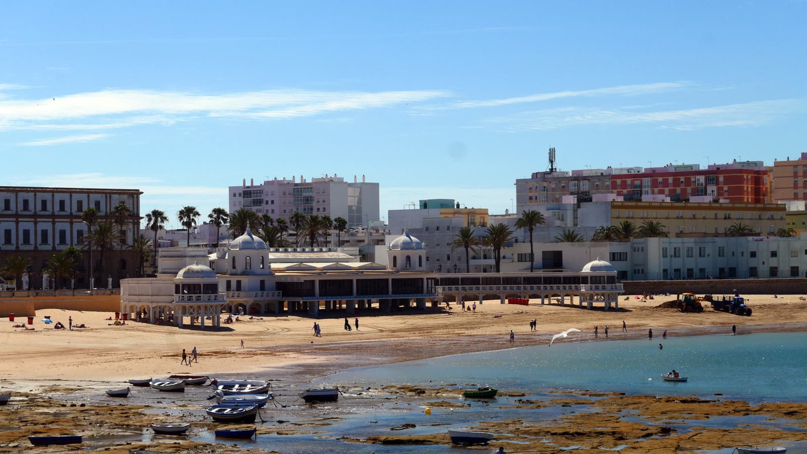 Fiesta patronal: Fiesta de la Virgen del Rosario de Cádiz, Cádiz