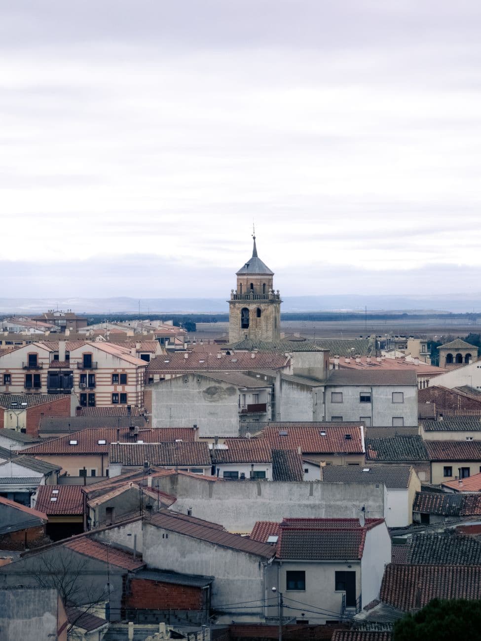 Fiesta patronal: Fiestas de la Virgen de la Paz en Cintruénigo 2026